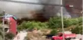 Hatay'da bir orman yangını daha