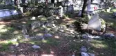Isparta'da yürüme engelli anne 17 yıl sonra kızının kabrine gidebildi
