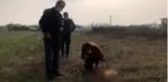 Son dakika! Komşusunun tüfekle öldürdüğü köpeğinin ardından gözyaşı döktü