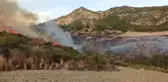 Makilik alanda çıkan yangın söndürüldü