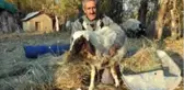 'Sarı Kız'ın sahibi Mehmet Emin Amca artık çok mutlu
