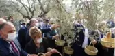 Hatay'da temsili zeytin hasadı