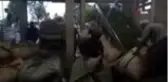 Özel sektör yaş çay alımlarını sürdürüyor