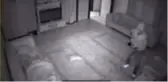 Uyuyan ev sahibini gördü, hırsızlığa devam etti