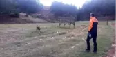 Yaşlı çifti arama çalışmaları sürüyor