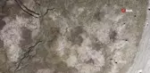 Altınkaya Barajı'nda korkutan görüntü