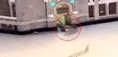 Kabe'de panik anları! Aracıyla Mescid-i Haram'a daldı