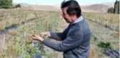 Ata ocağı köyde goji berry yetiştiren profesör çiftçilere örnek oluyor