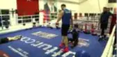 Türkiye ve Azerbaycan boks milli takımlarının kampına Romanya da katıldı