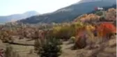 Posof'ta renk cümbüşü
