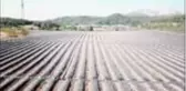 Yayladağı çileğinden çerez, reçel ve pestil yapılarak yurt dışına pazarlanacak