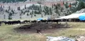 Antalya'da yörüklerin yayla dönüşü başladı