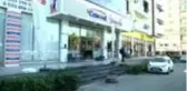 Depremde enkazdan çıkarılan kediler unutulmadı