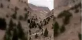 Yaylada mahsur kalan gebe ineği ve buzağısının kurtarılması için yardım bekliyor