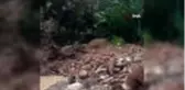 Rize'de şiddetli yağış nedeniyle köy yolu ulaşıma kapandı