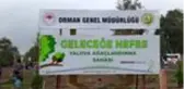 11 Kasım Milli Ağaçlandırma Günü etkinliği düzenlendi