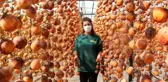 40 kilo ile başladı şimdi yıllık 50 ton cennet elmasını kurutup satıyor