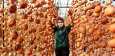 40 kiloyla başladı bu yıl hedefi 15 ton