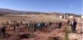 Doğu Anadolu'da fidanlar toprakla buluştu