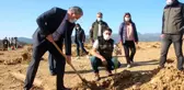 Hafriyat alanına 2 bin ağaç dikildi