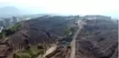 Hatay'da yanan ormanlık alanlar Milli Ağaçlandırma Günü'nde fidanla buluştu