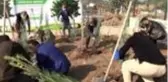 Teröristlerin yaktığı ormanlar yeniden hayat buluyor
