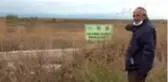 Beyşehir Gölü'nde sular çekildi, kıyılarda sazlıklar oluştu