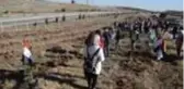 Uluslararası öğrenciler 500 fidanı toprakla buluşturdu