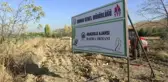Anadolu Ajansı çalışanları, 2 bin fidanı toprakla buluşturdu
