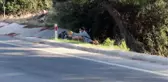 Bodrum'da kara yolu kenarına atılan çöpler toplandı