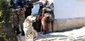 Elazığ'da 83 yaşındaki kayıp kadını iz takip köpeği 