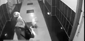 Köpeğini otomobille ezen komşusundan alacağı tazminatla hayvan mezarlığı yaptıracak