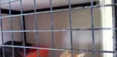 Depremde kurtarılan 