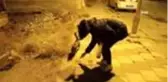 Ortaokul öğrencisinden örnek davranış...Biriktirdiği harçlıklarıyla sokak hayvanlarına mama alıyor