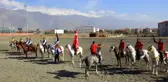 Ata sporu cirit Erzincan'da yaşatılıyor