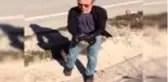 Karayoluna çıkan kaplumbağanın imdadına duyarlı vatandaş yetişti