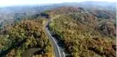Batı Karadeniz ormanları 