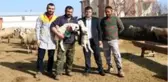 Aksaray'da 