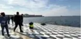 Son Dakika | Ölü caretta caretta sahile vurdu