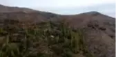 DİYARBAKIR - Diyarbakır'da sonbahar