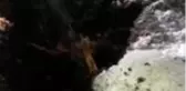 Çamura saplanan atı belediye ekipleri kurtardı