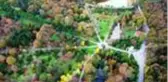 İstanbul'da sonbaharın renkleri Atatürk Arboretumu'nda