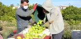 Tescilli Lamas limonu hasadı bereket duası ile başladı