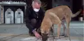 Belediye Başkanı kısıtlamada aç kalan köpekleri elleriyle besledi