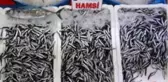 Kendisi küçük, lezzeti büyük...Karadeniz hamsisine yoğun ilgi