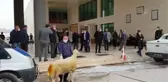 Kovid-19'u yenen Kadirli Belediye Başkanı Tarhan yeniden görevine başladı