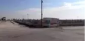 Hayvan pazarında 