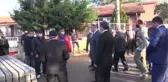 Yalova'da kivi üretim alanları genişletiliyor