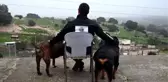 Köpek barınağı devlet desteğine ihtiyaç duyuyor