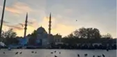 Eminönü Meydanı kuşlara kaldı